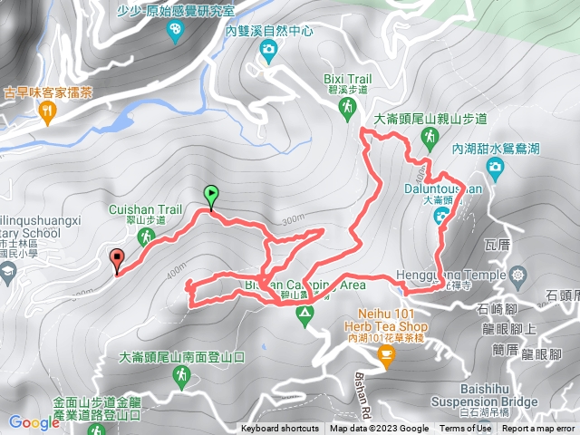 大崙山迷路