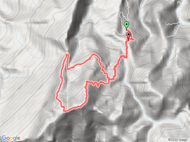 鹿場加里山杜鵑嶺大坪山鐵道O形