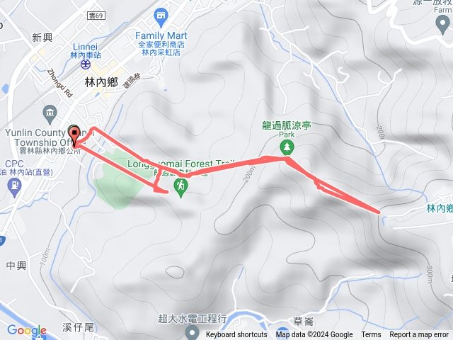 1130216林內鄉龍過脈森林