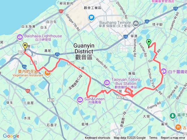 白千層
