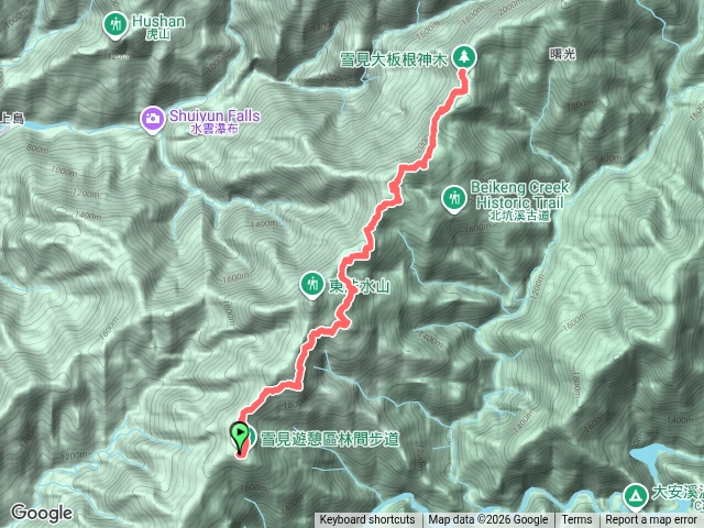 雪見大板根20261010預覽圖