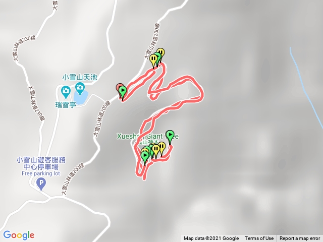台中 大雪山神木