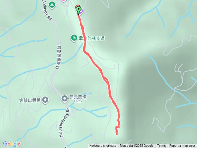 20251207 太麻里鴨子蘭山(金針山)直上下