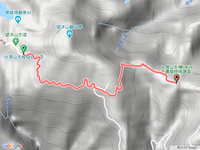 台灣山毛櫸步道