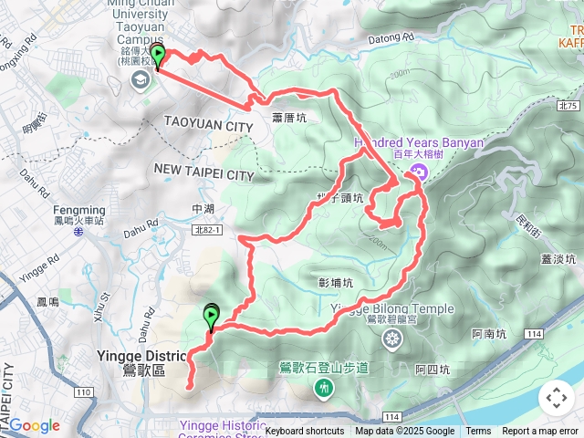 鶯歌16老榕集成