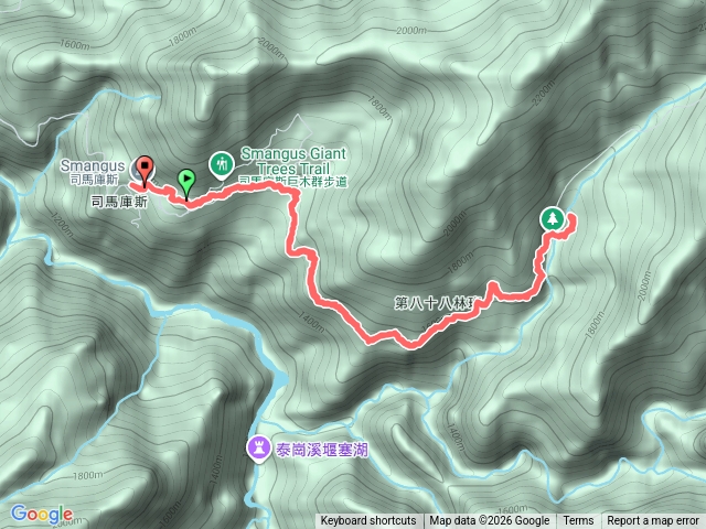 20260301_司馬庫斯巨木群步道預覽圖