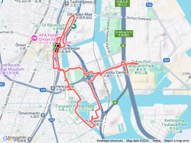 東京行（第五天）-野鳥水族晨跑