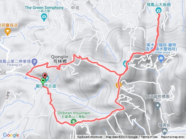 飛鳳山十大板根