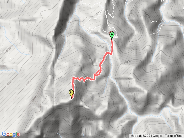 加里山（鹿場登山口直上直下）