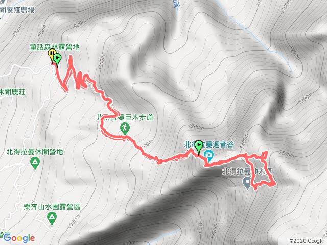 北得拉曼巨木笑郎鬆弛散步