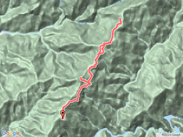 2020/08/31（雪見遊憩區原路來回）雪見遊憩區-司馬限林道-北坑山-大板根-東洗水山-雪見遊憩區
