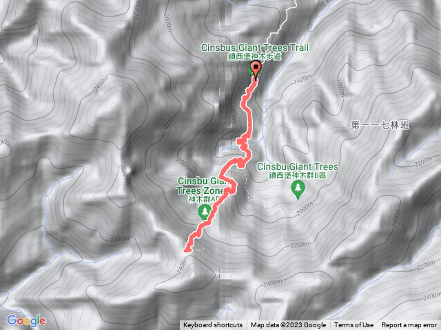 鎮西堡巨木A路線