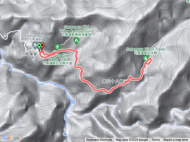司馬庫斯巨木群(慢跑)