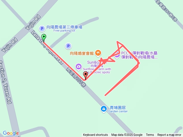向陽農場欣賞向日葵🌻