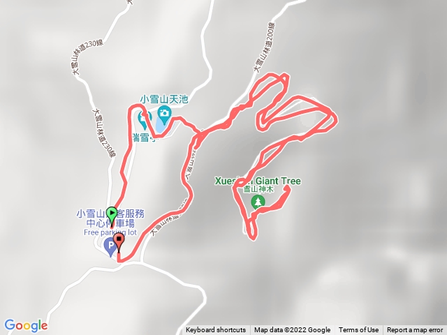 樂活消進遊大雪山神木