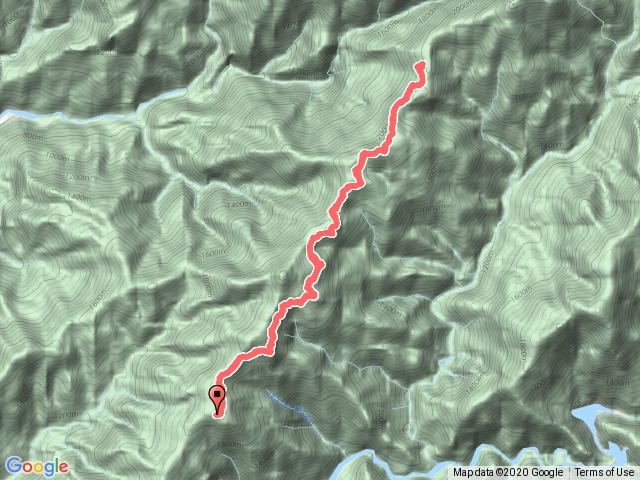 雪見大板根（小天）