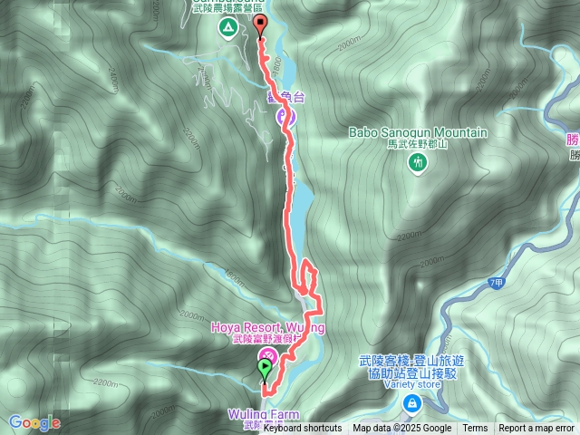 20250214-武陵農場櫻花