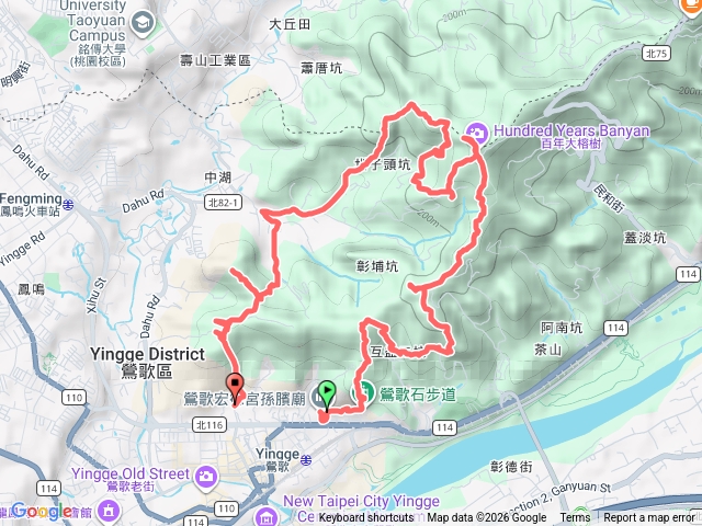 JJ 鶯歌16棵百年榕樹