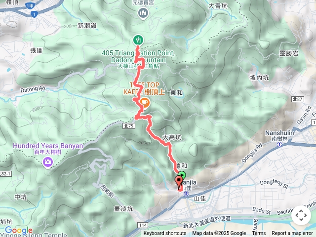 大棟山桐花步道