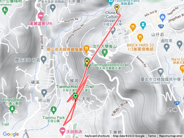 天母古道猴子好可愛