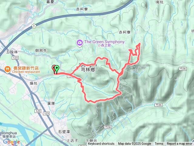 飛鳳山-大小板根-20251108