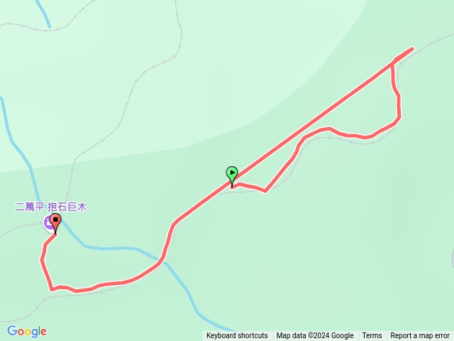 二萬坪步道樹抱石