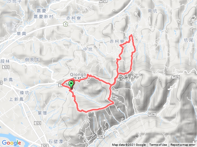 飛鳳山大板根O型