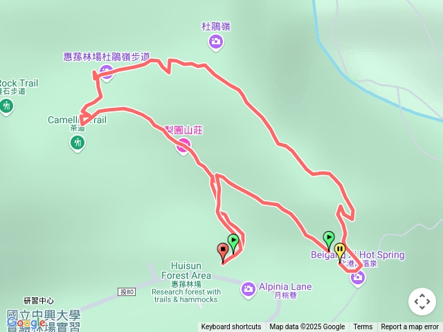 20250528.惠蓀林場(杜鵑嶺步道一圈)預覽圖