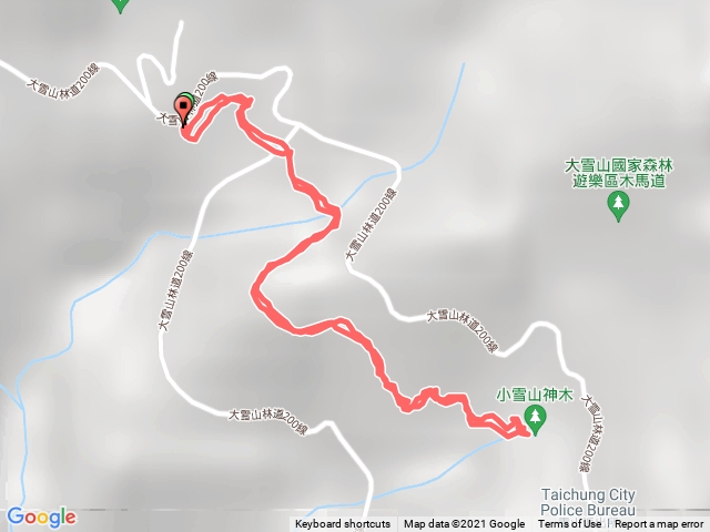 小雪山森林浴41K~小神木