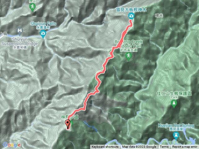 雪見北坑山大板根