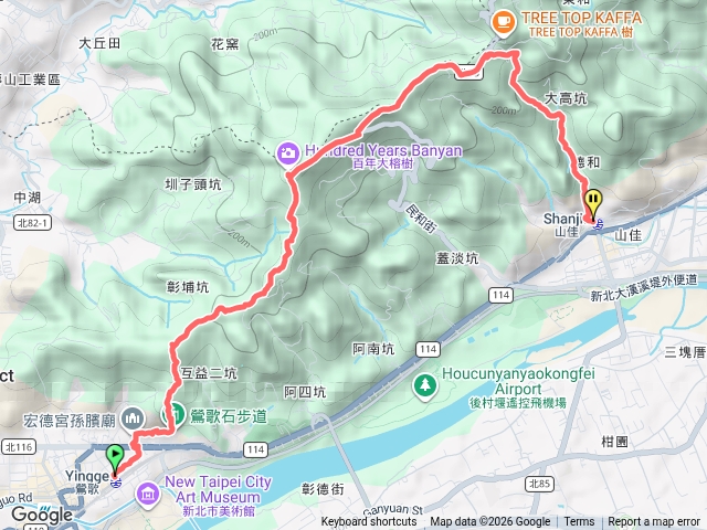 鶯歌百年大榕樹