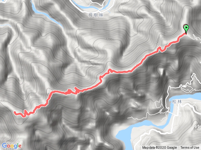 南投埔里仁愛_埔里六秀舊武界越山 (順撿關頭山、對萬山、埋石山)_旭村茶園來回路線