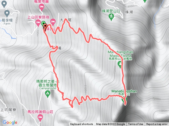 高島肉腳