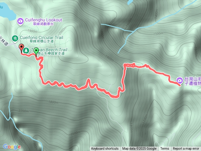 太平山山毛欅步道