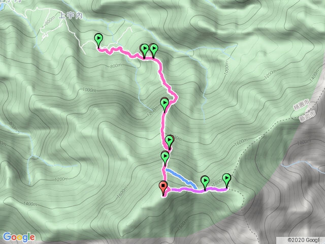 20190130 南插天山、魯培山