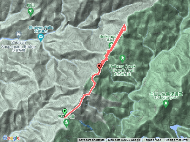 雪見北坑山大板根
