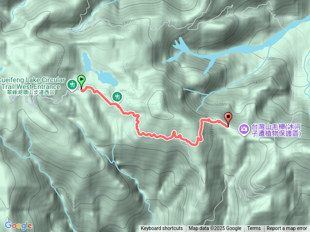 20251108山毛櫸步道