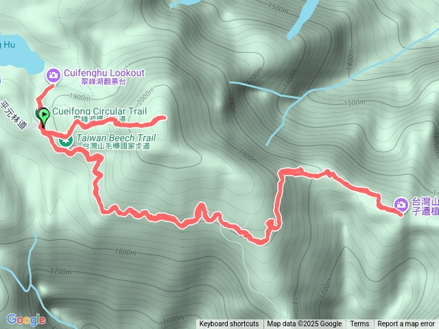 翠峰湖山毛櫸步道望洋步道預覽圖