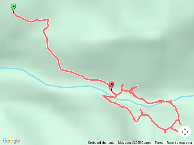 拉拉喀斯神木O型
