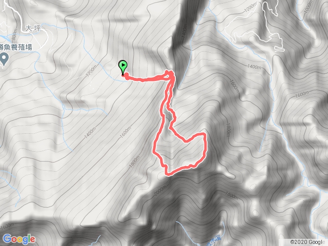 2020-05-17迷幻森林浴-加里山P型（大坪登山口-杜鵑嶺-加里山）