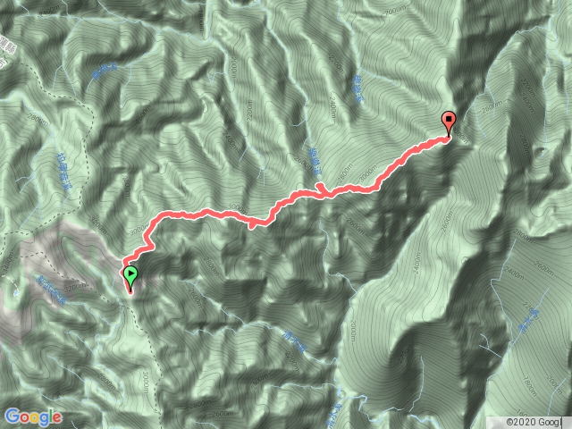20180404  新康橫斷 D4 布新營地-桃源營地-連理山-新仙山營地