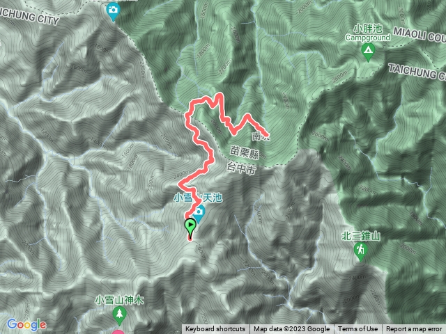 230林道健行 帝雉、一葉蘭、毛地黃夾道