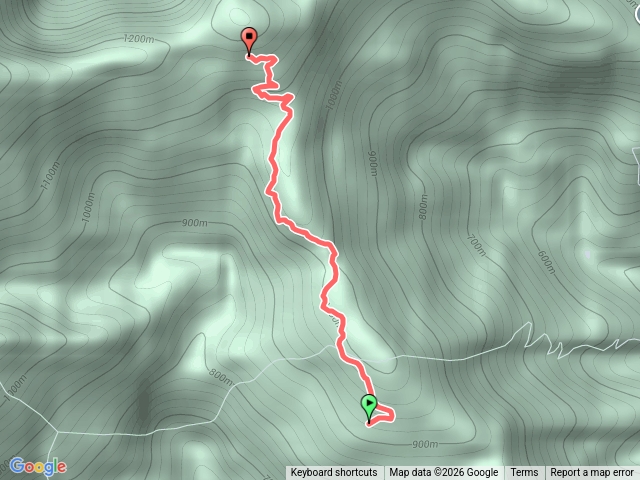 往第二工寮水源頭