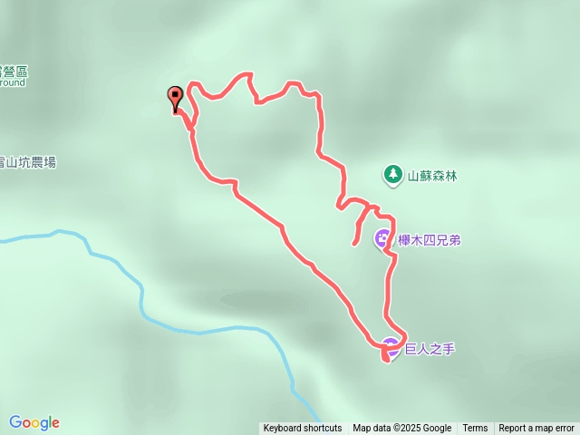 雪山坑環線步道- 山蘇森林, 巨人之手, 櫸木四兄弟