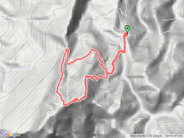 加里山-杜鵑嶺P型