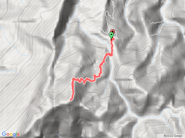 鹿場登山口-加里山