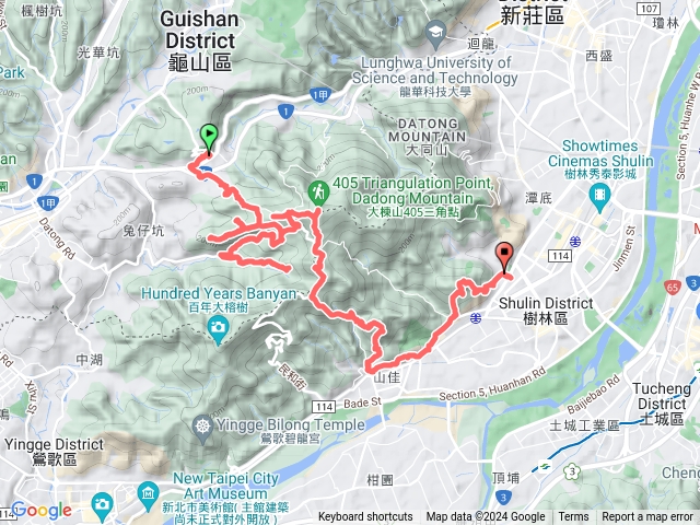 龜山樹林大牛連走