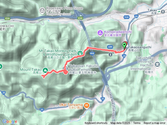 日本八王子高尾山