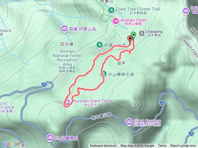 水山療愈步道、水山巨木