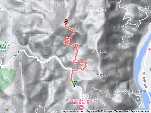 鹿谷鄉田底林道上大樟湖山